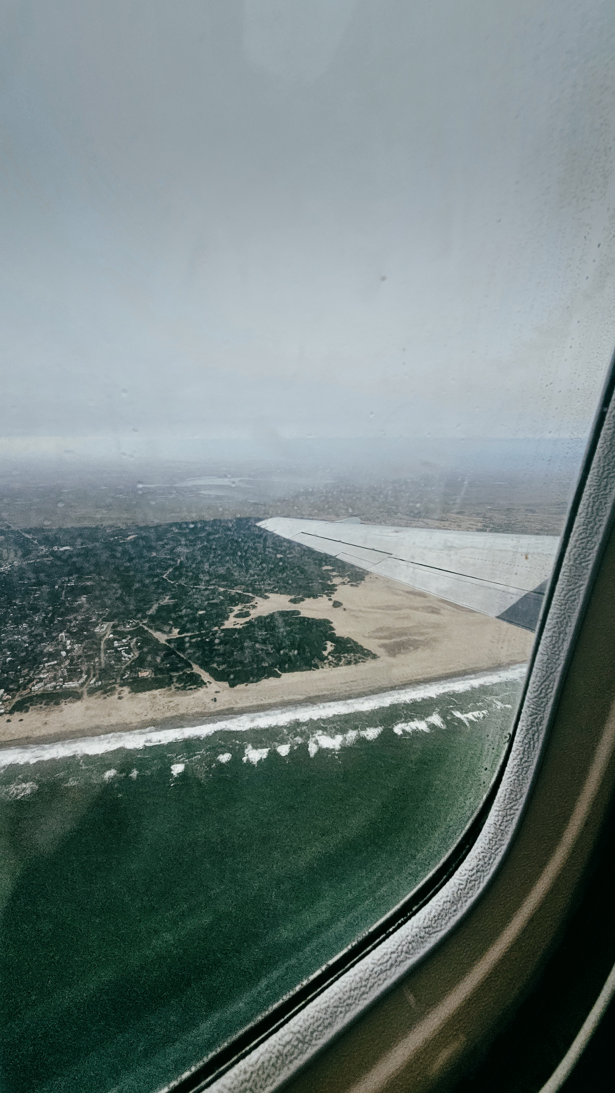 Humming Airways en Villa Gesell